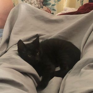 Meet your Posher, Jeff